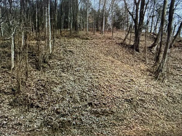 Riverside Dr Lot 5, Raven, VA 24639