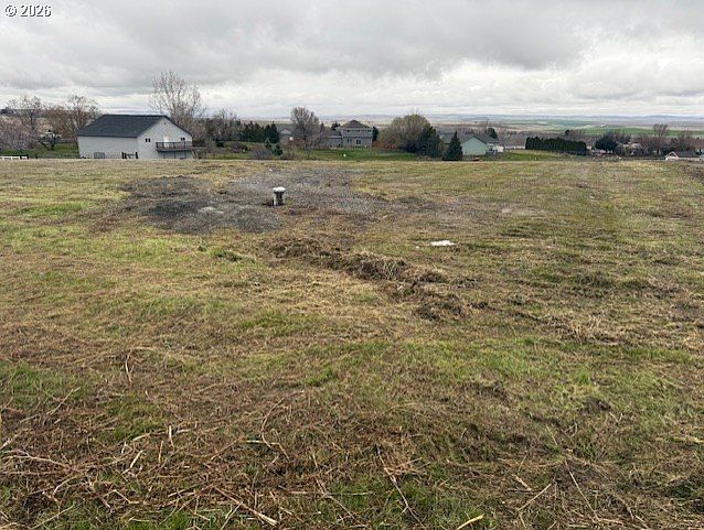 2nd image of Cutter Way