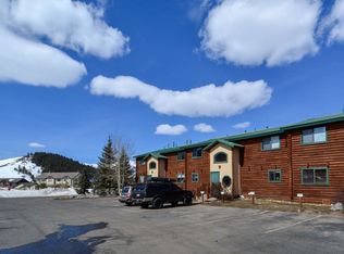 100 Cove Blvd UNIT C, Dillon, CO 80435