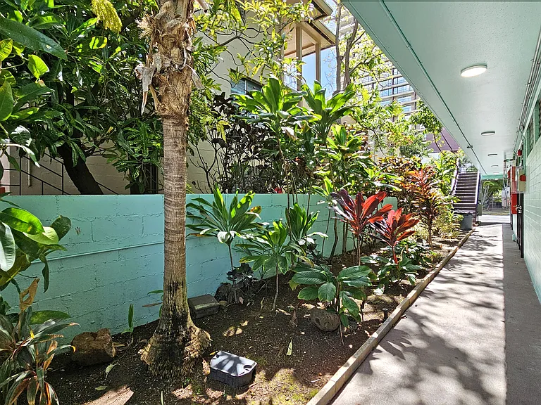 432 N?m?hana St #303 — Photo 11