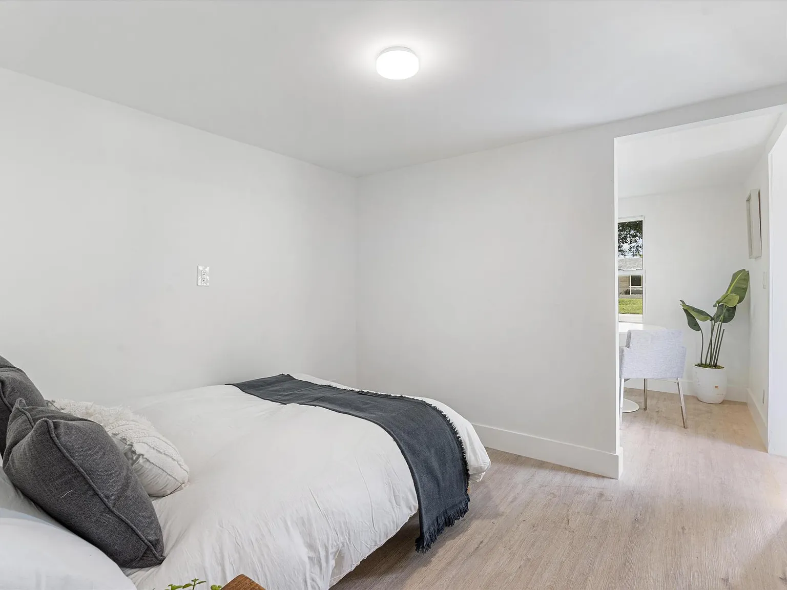 1 bed, 234 sqft, $1,700 — Photo 3