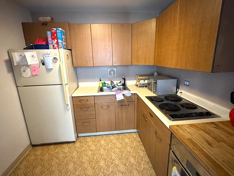 3550 N Lake Shore Dr #919 — Photo 5