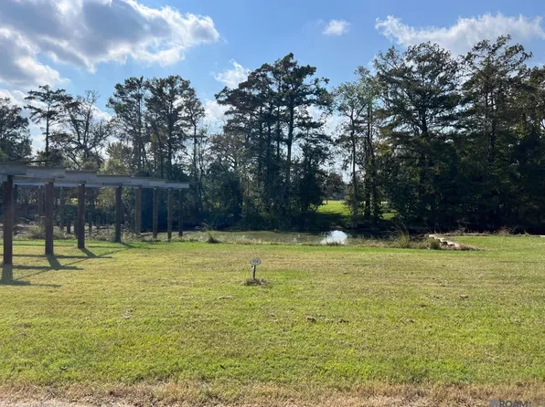 23101 Carter Plantation Dr, Livingston, LA 70462