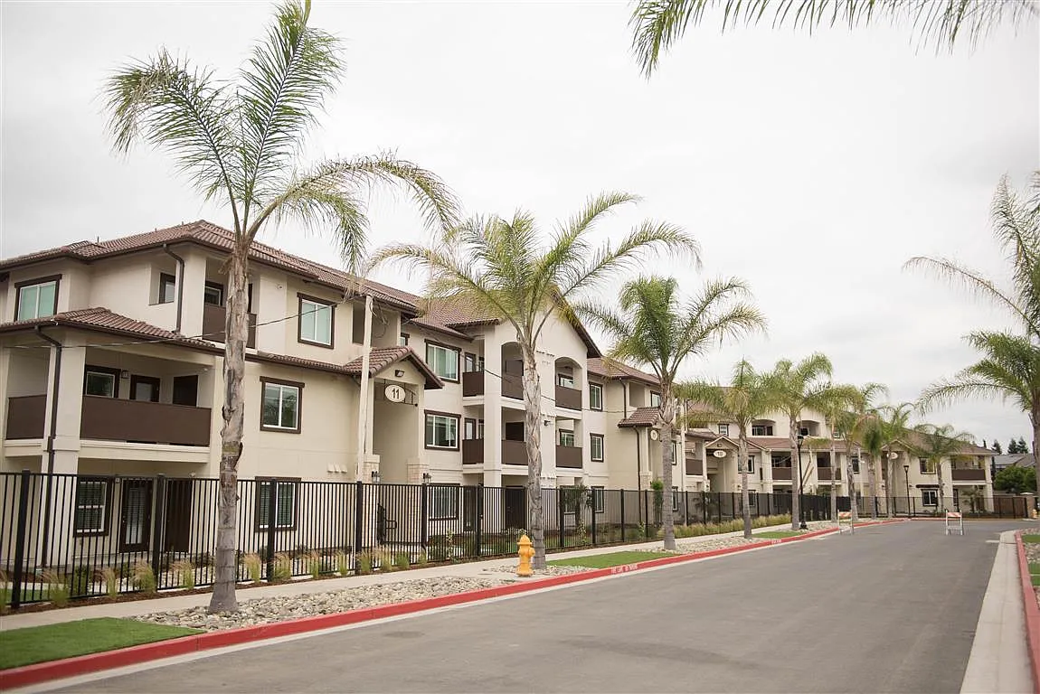 Palms at Morada — Photo 3