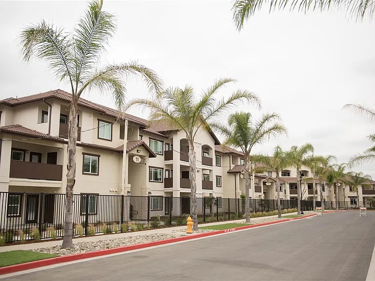 Palms at Morada — Photo 3