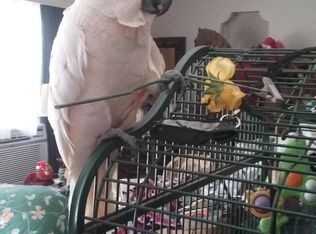 4200 SW 74th Ave, Davie, FL 33314