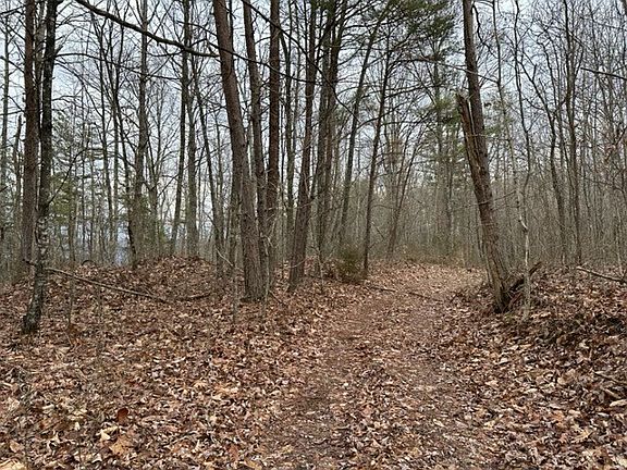 4th image of LOT 175 Big Piney Loop
