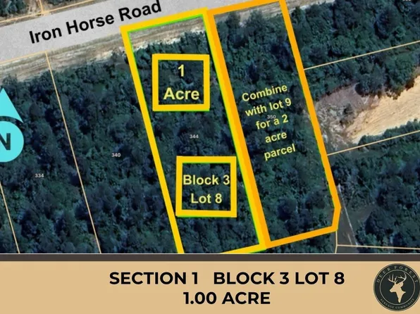344 Iron Horse Rd Lot 8, Willis, TX 77378