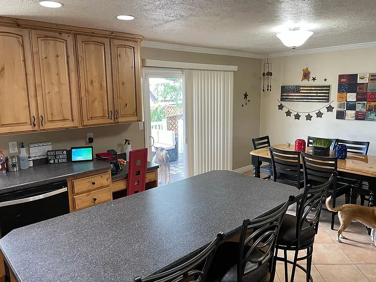643 Creek View Rd — Photo 5