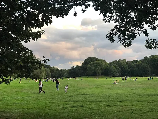 Rented by Space Real Estate | media 19