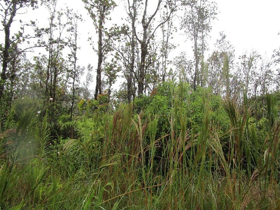 1st image of Palainui Ave Lot 2