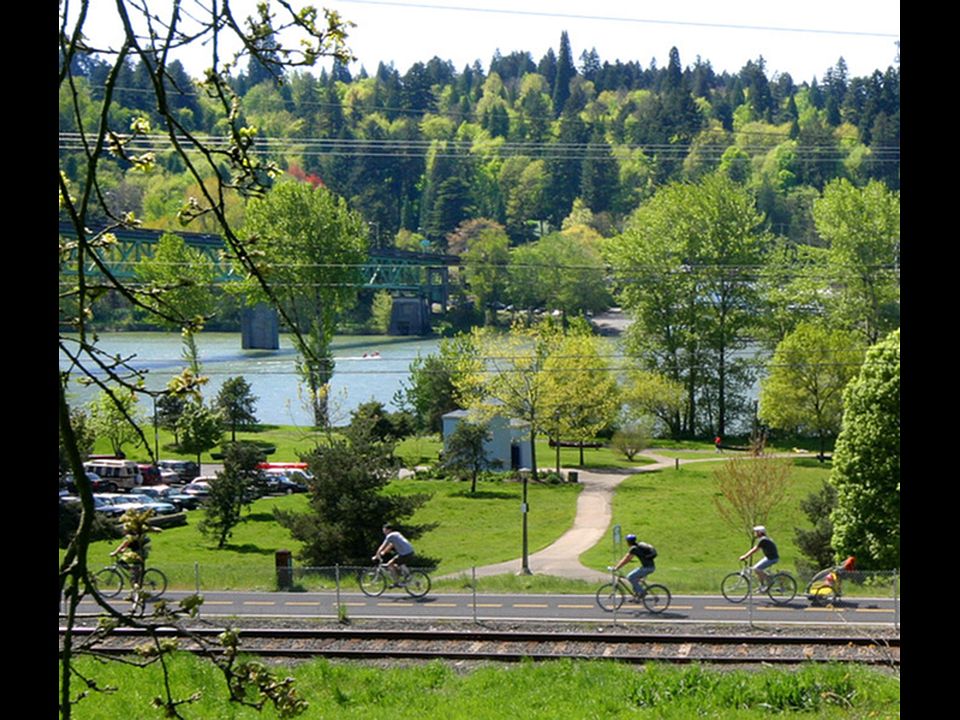 Forest Park