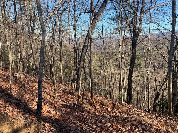 25 Laurel Mountain Dr, Brasstown, NC 28902