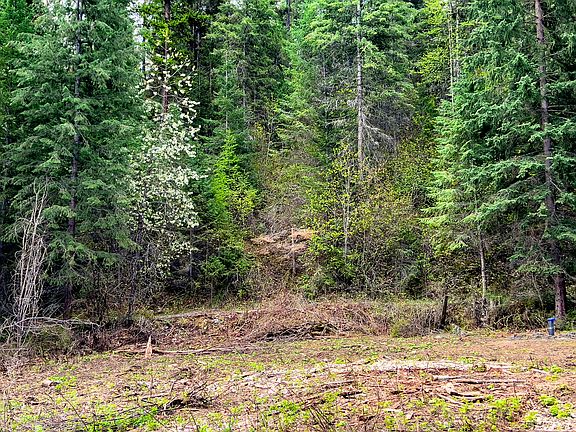 3rd image of 3308 Deep Lake Boundary Rd