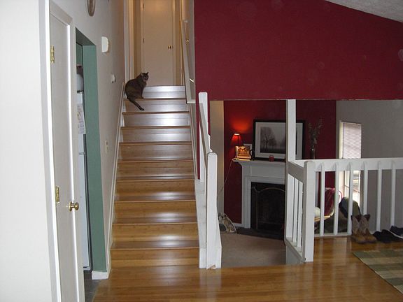 Stairs up to Bedrooms. New bamboo Flooring