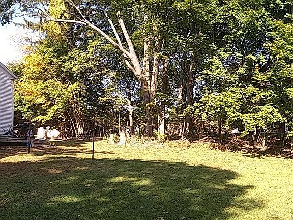 Back yard