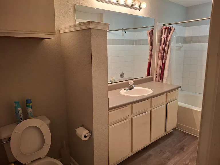 3702 Palm Desert Ln — Photo 5