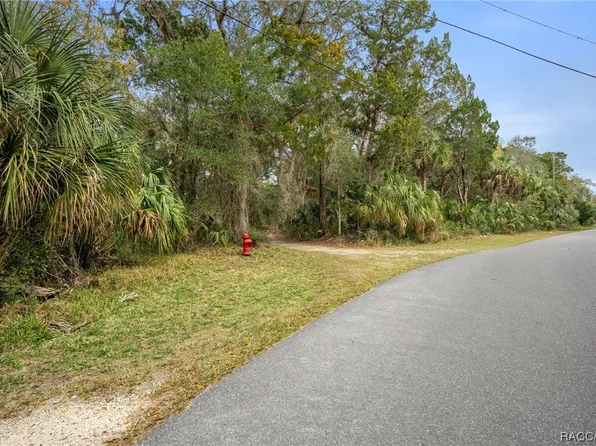 6515 S Beagle Dr, Homosassa, FL 34448