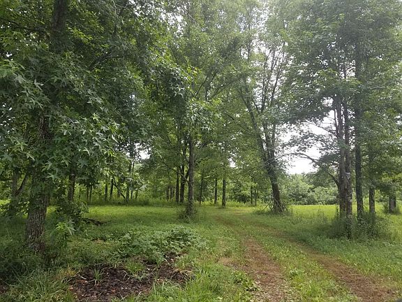 5th image of 4381 Tyes Ferry Rd
