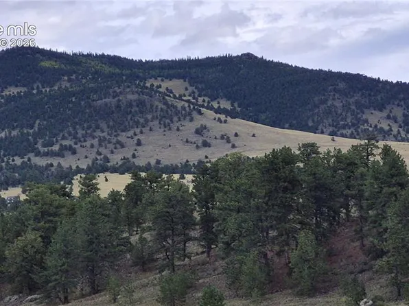 504 County Road 59, Guffey, CO 80820