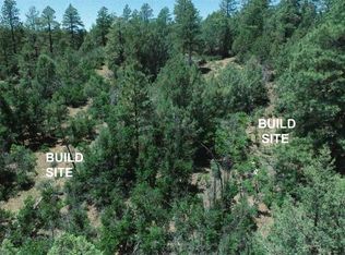 2868 & 2892 Crooked Rd, Pagosa Springs, CO 81147