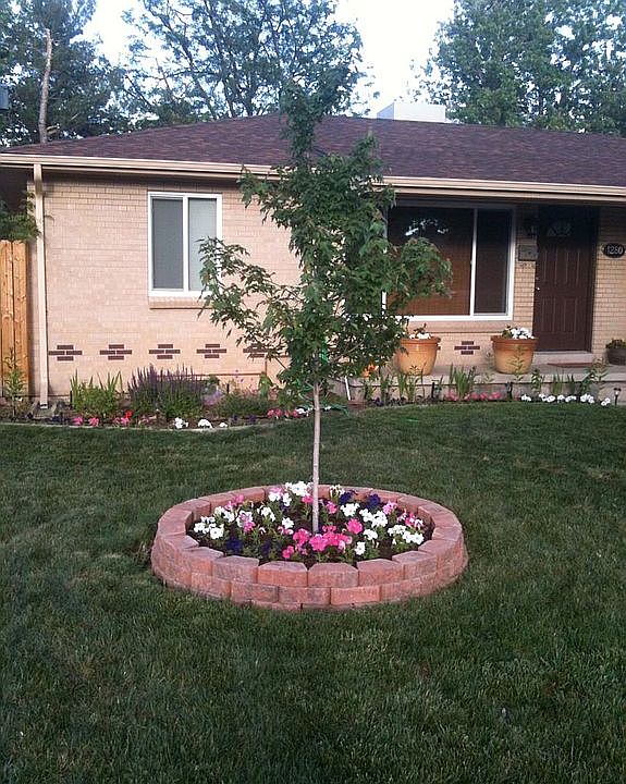 front yard