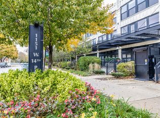 1151 W 14th Pl UNIT 103, Chicago, IL 60608
