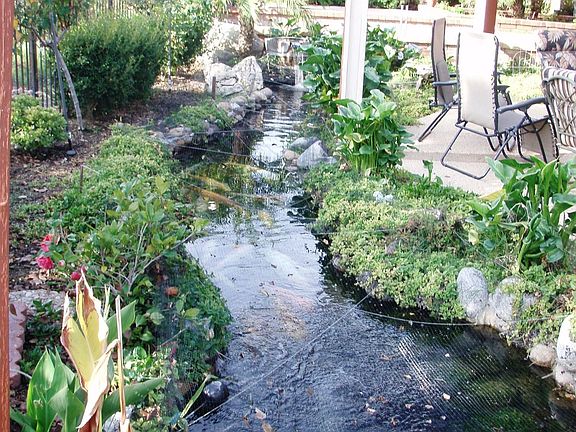 koi creek