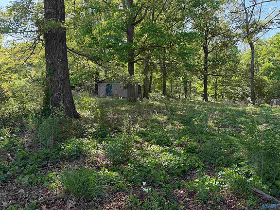 5th image of 455 County Road 1857