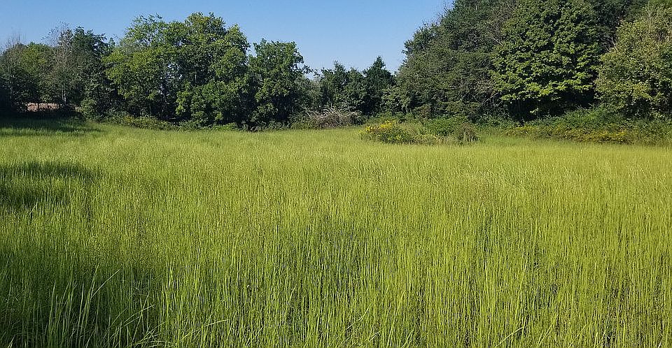 2nd image of Patty Rd