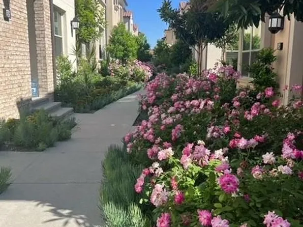 105 Sugarwood, Irvine, CA 92618