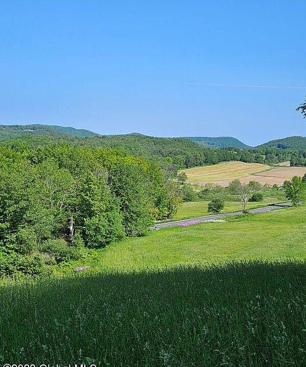 2nd image of 0 County Route 59