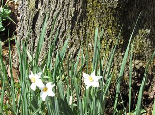 8900 Salem Rd, Athens, OH 45701