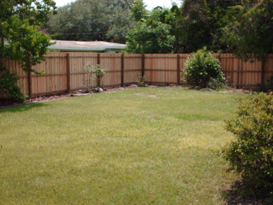 Large backyard