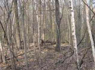 Tbd Sioux Trail Sw Leader, Eagle Bend, MN 56446