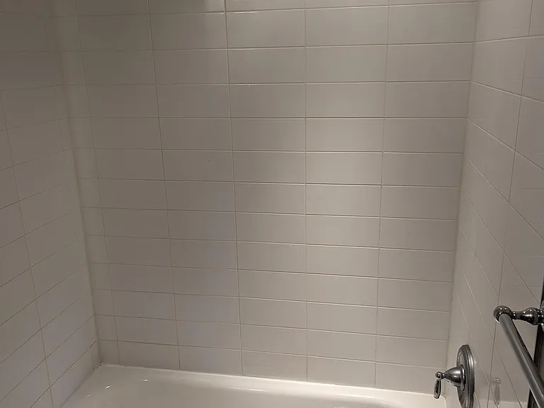 Basement Bathroom (2/2)