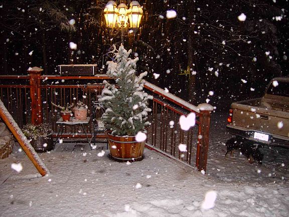 Beauty of the seasons