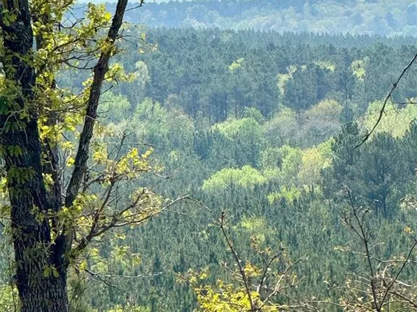 117 Hickory Hull Trl Lot 207, Broken Bow, OK 74728