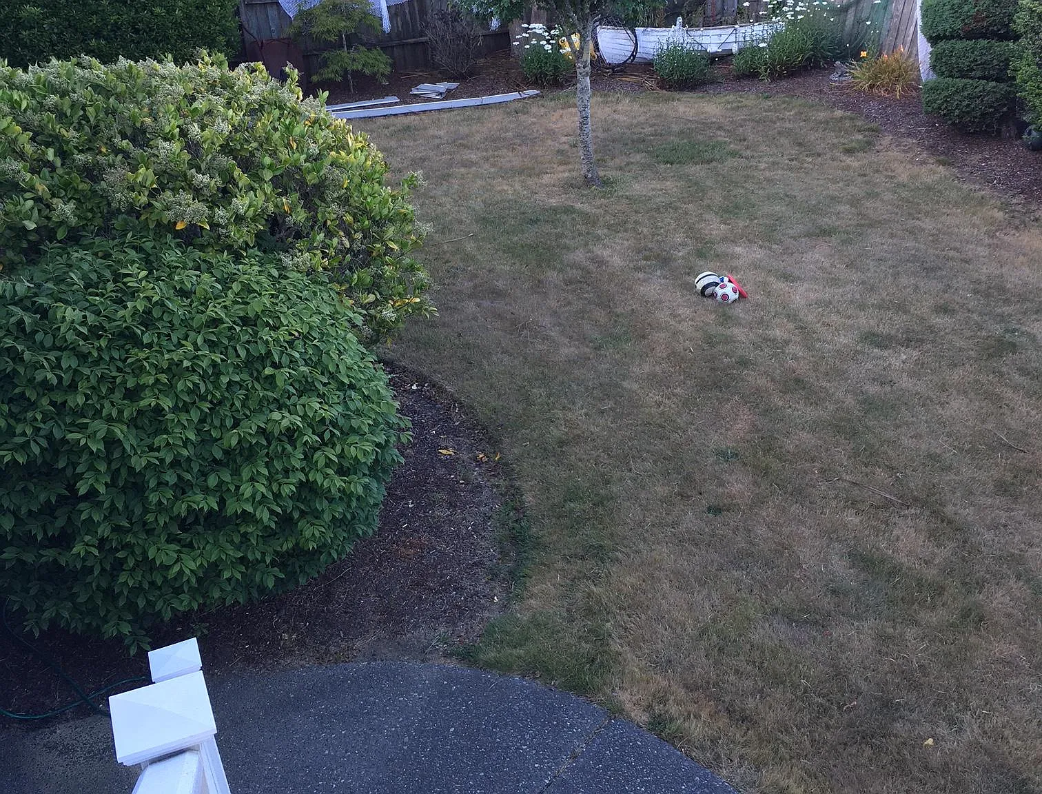 850 Prefontaine Dr — Photo 4
