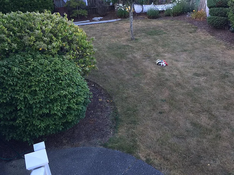 850 Prefontaine Dr — Photo 4
