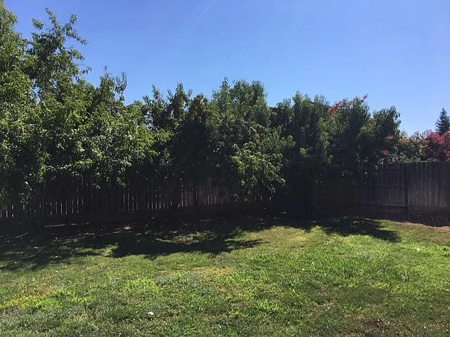 2348 Mariner Way — Photo 13
