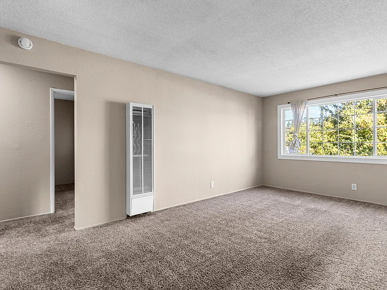 450 Jessie Ave #3 — Photo 12