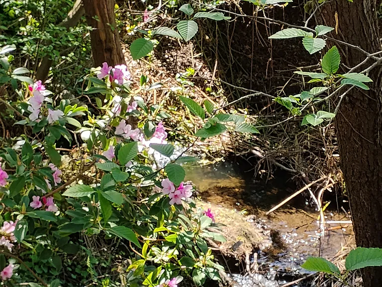 Edmonds Park — Photo 8