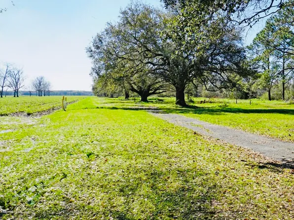 State Highway 31, Breaux Bridge, LA 70517