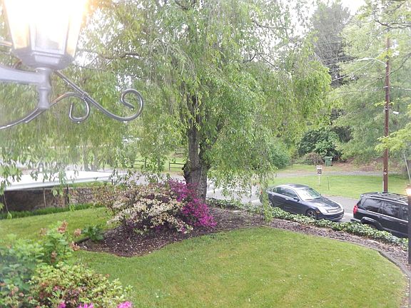 Front yard with beautiful Cherry Willow tree