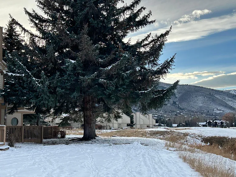 73 Vantage Ct #73 — Photo 9