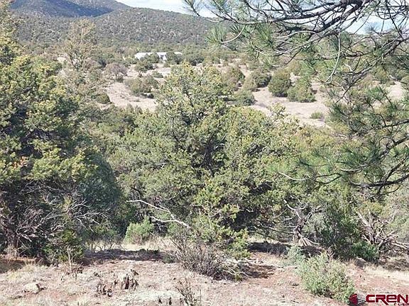 2nd image of 256 Sunrise Road