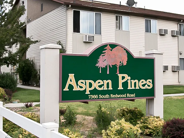 Aspen Pines — Photo 256