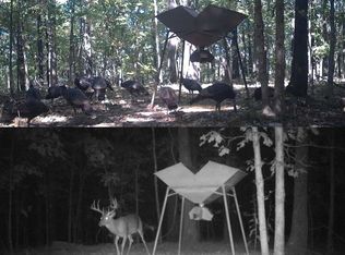 Xx Firetower Rd, Hardy, AR 72542