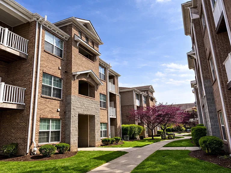 Palomar View Apartments — Photo 52
